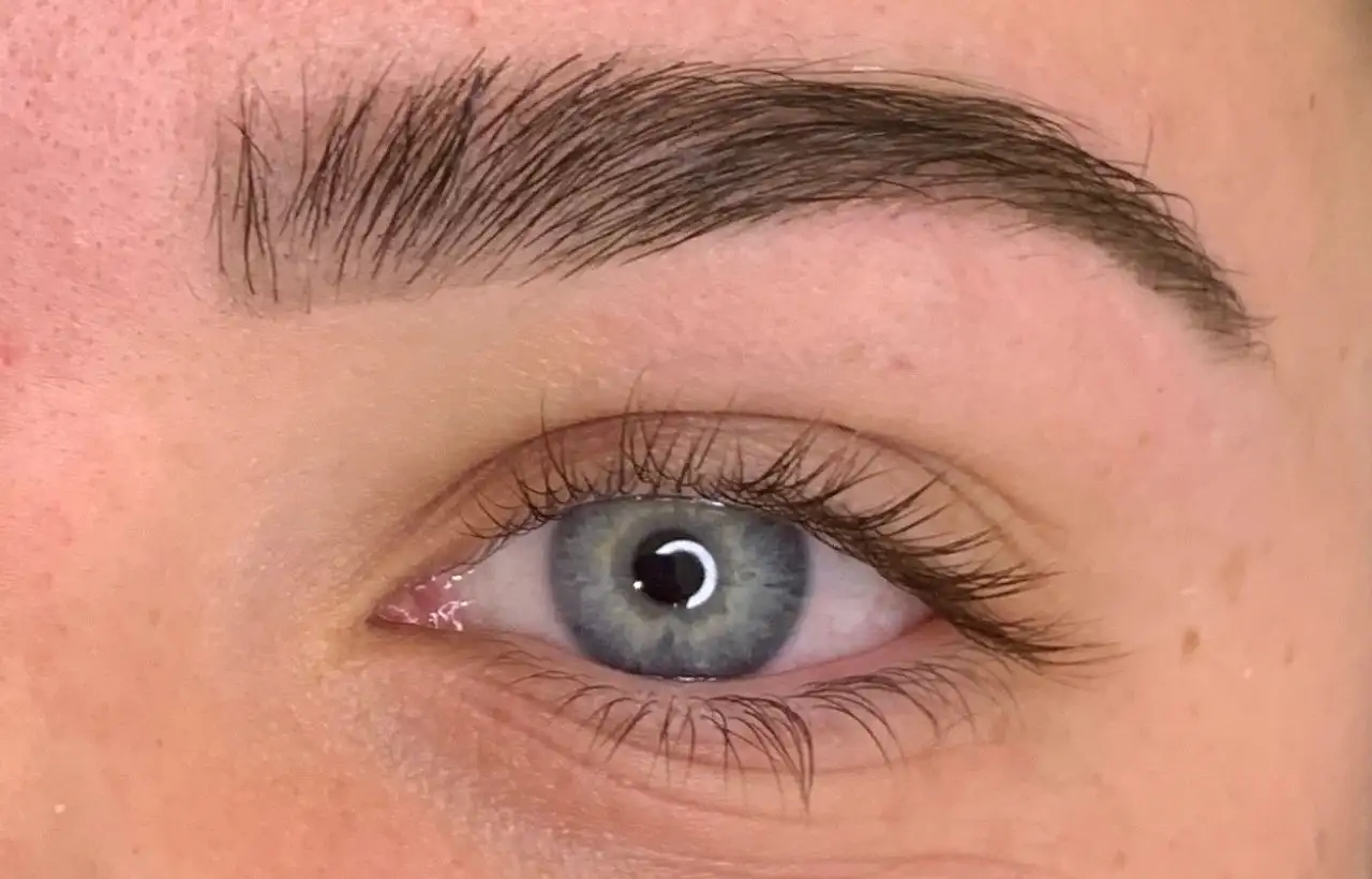 Eyebrow Wax And Tint Dee Why 2099