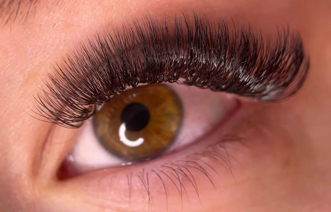 Russian Volume Lashes Dee Why 2099